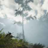 8515ce1519934cedf6ca5a9080457a17