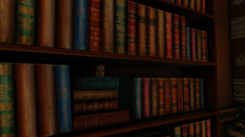 Bookshelf (Talim RealPlus)