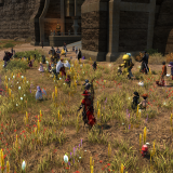 d979f62b2a0c9828a8db39fc432f110a