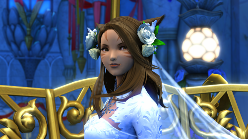 484f7c41d81e7cba57fb7bedbc627199