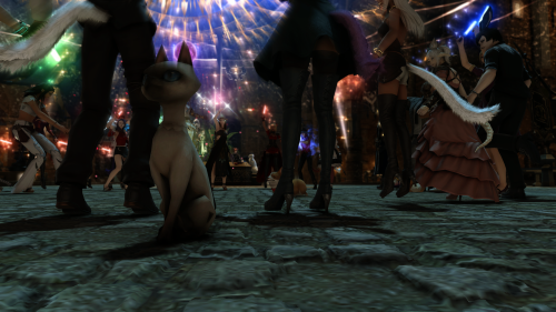 23c378fcb7813e426aef3bc70646dc03