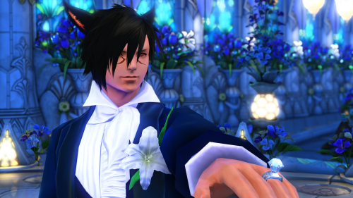 1485e5377b8c94dacdc71626126a090d