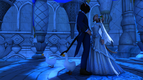 53911f34519961d3cf012f44554d9300