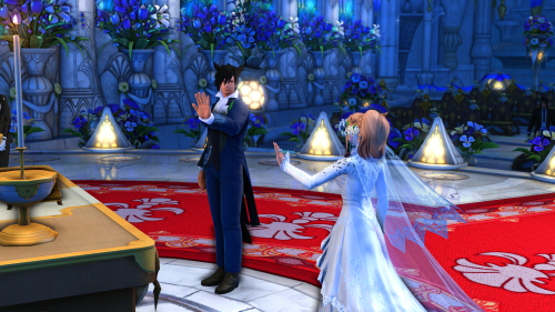 b3189779287cd7ab73aee51be6afe0b9