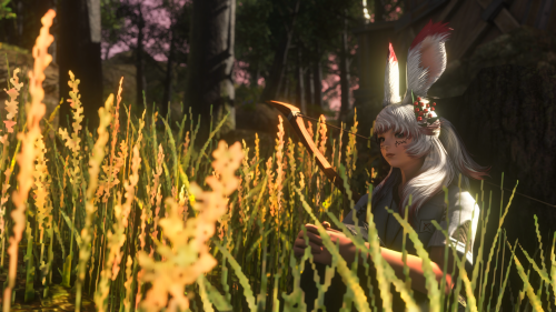 481bd5c94eea61acdbd3ef014c209dae