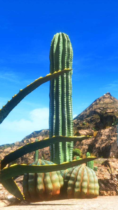 Final Fantasy XIV Cactus. Totally normal ones.