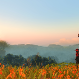 2547dd3ad58269cc104d047d9915b2a9