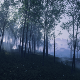 07b27bc04d06c98cc2954ca4407b3c1e