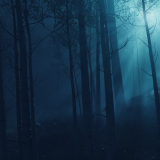 4a214059013ba490185e1aecbf0c96a1