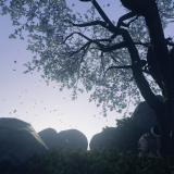 73bfd66115deb2854cd5231943fe4549