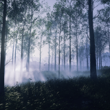 d337fbb18140e072938a61348f3ce813