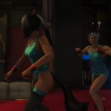 3101ab89ecc18c62d6c39521158b100c