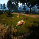 336232e544f63ddb3f7552ee913626c3