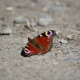 f4b1990c6b8624ab71dfae3467b32cb9