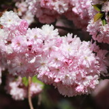 85d6f6b278379a7e299fd7dadca78063