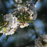 9d95ea6e0b1ec9c95030b2dc66e7382f