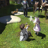 254ddd93919a5cecc02b1f3fed0455f2