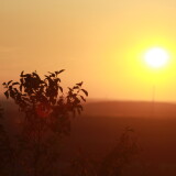 03cb6c2ba9e909d7e2e7ddf5b5104222