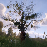 63917c3046f9f2a668b968fb4e17d9d6