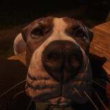 2184b4325342fdd95f656a04c52d4575