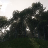 01c02b85f8390789cfa1b8d60ea19af6