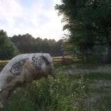 991f3f453f70e36c7ad6ae248ad8da13