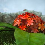 1a0eeb75bcb903cc5f6c35c7bf983886