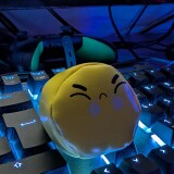 ae4ea1c8b24217801a3231adc8e4f423